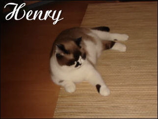 18 Henry gro�