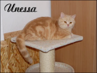 Unessa gro�