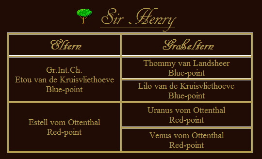 Stammbaum-Sir-Henry