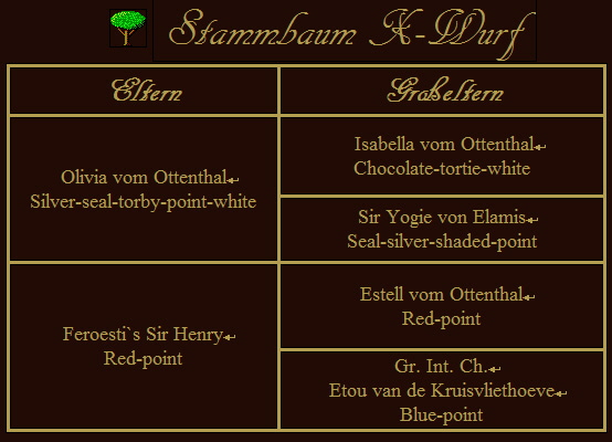 Stammbaum-X-Wurf