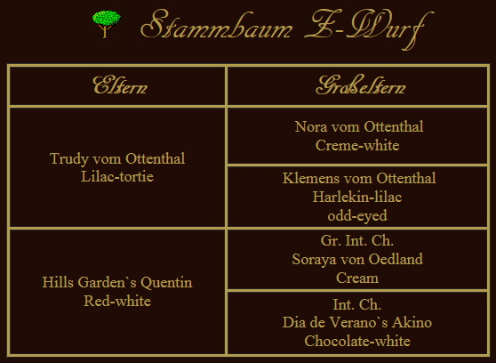 Stammbaum-Z-Wurf